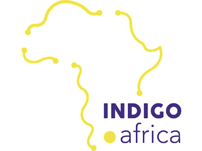 Indigo-logo-yellow (1).png - Impact platform subscription information image